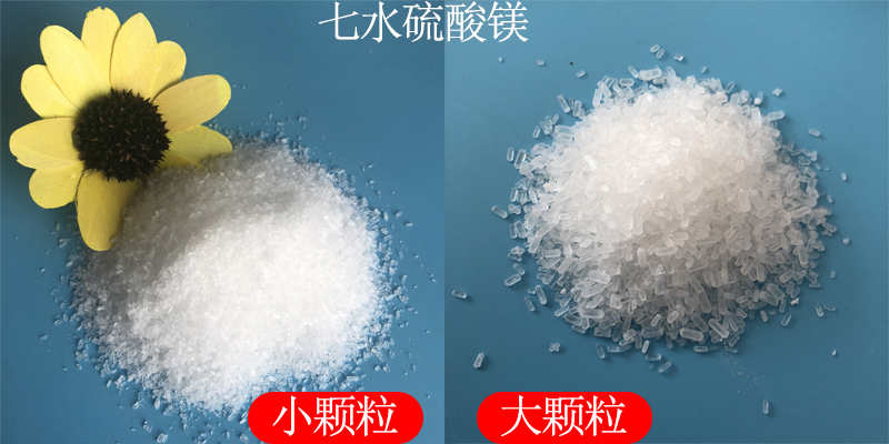 1723186959188007.jpg 未標題-1.jpg